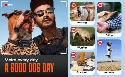 Digital Remote Dog Training Collar — 800m Range, LCD Display & Waterproof