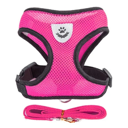 Breathable Mesh Vest Harness & Lead Set for Small to Medium Cats and Dogs