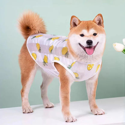 Breathable Mesh Cooling Vest for Dogs