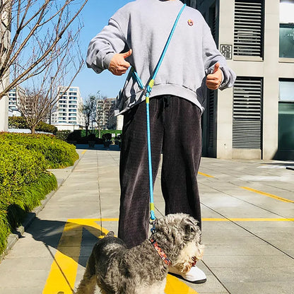 Reflective Nylon Dog Leash