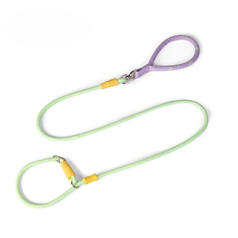 Nylon P-Chain Slip Lead & Collar for Small Dogs