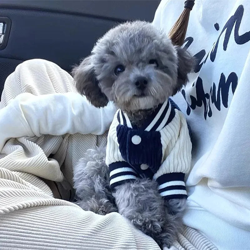 Warm Dog Sweater Vest - Striped Autumn Winter Clothing for Small Dogs