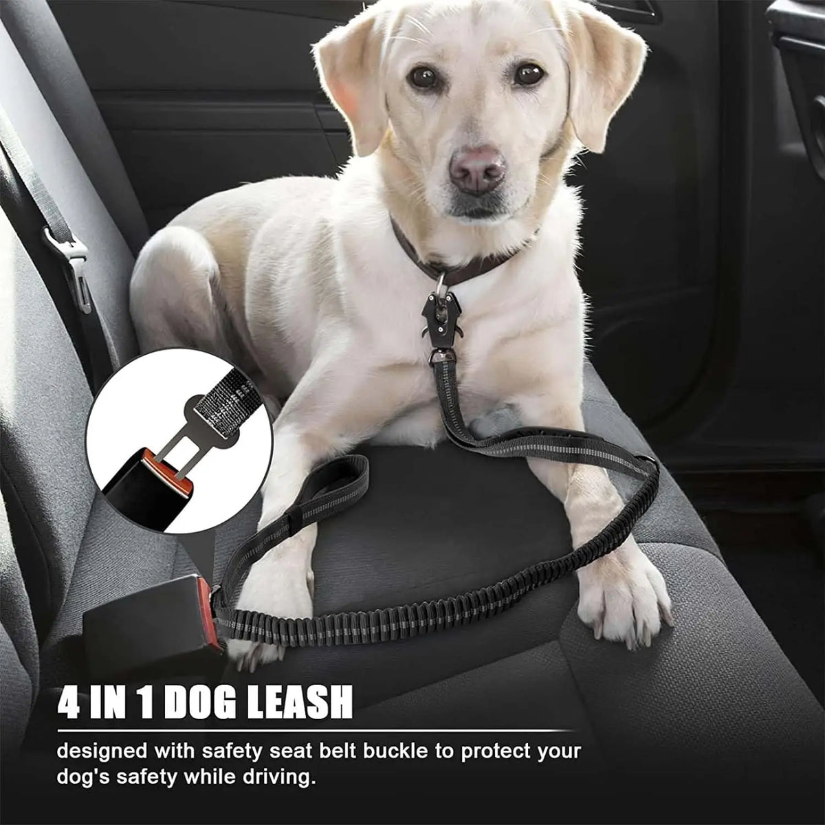 Reflective Shock Absorbing Dog Leash