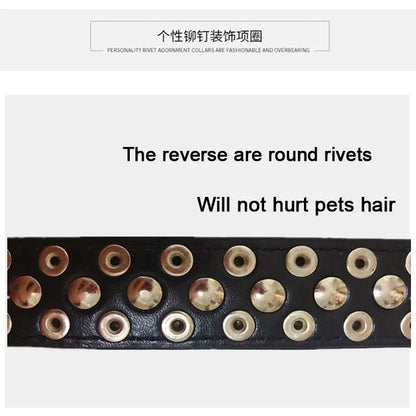PU Leather Punk Rivet Spiked Collar for Small Dogs & Cats
