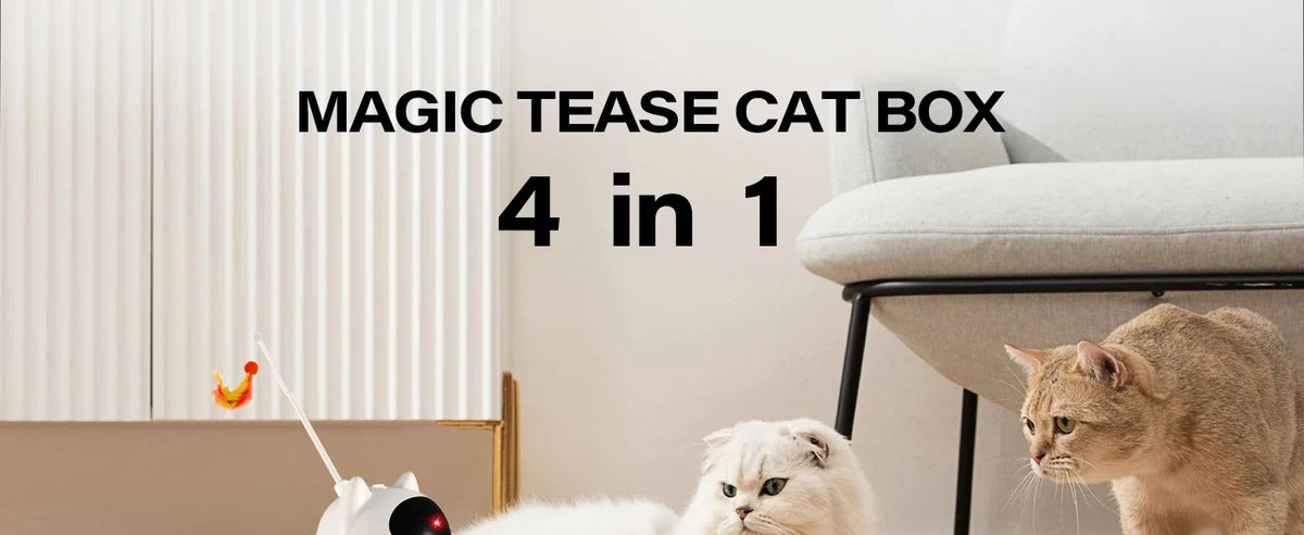 4-in-1 USB Rechargeable Interactive Cat Toy with Feather Wand & Ball