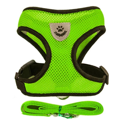 Breathable Mesh Vest Harness & Lead Set for Small to Medium Cats and Dogs