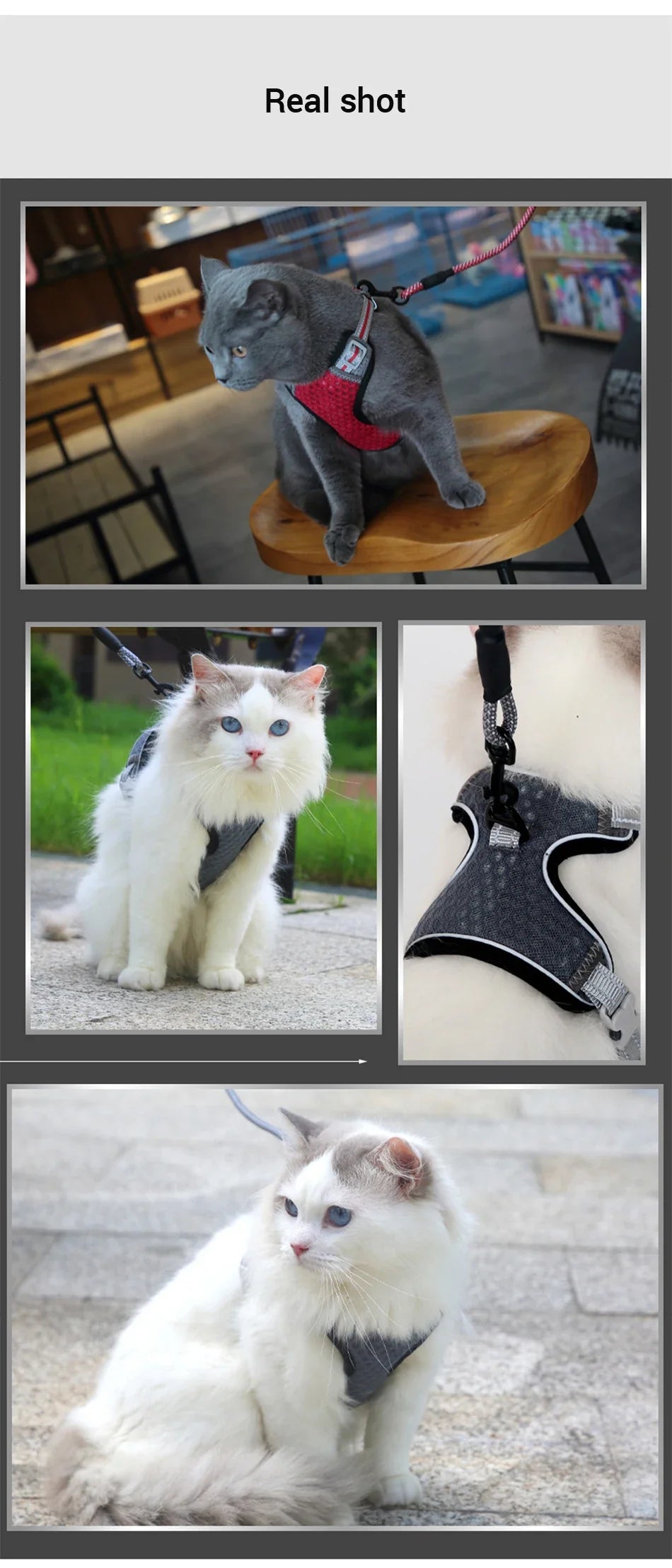 Reflective Cat Harness and Leash Set - Escape Proof, Adjustable Walking Harness
