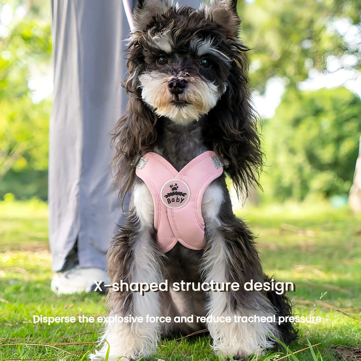 Reflective X-Shape Dog Harness & Leash Set | Adjustable Quick-Release Vest for Small & Medium Dogs