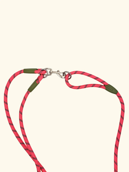 Reflective Nylon Dog Leash