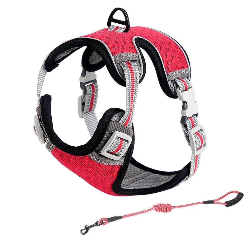 Reflective Cat Harness and Leash Set - Escape Proof, Adjustable Walking Harness