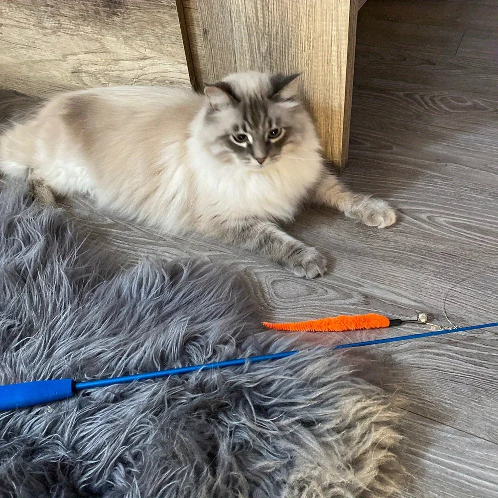 Retractable Cat Wand 11-Pack Set with Bells
