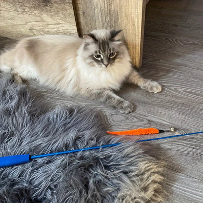 Retractable Cat Wand 11-Pack Set with Bells