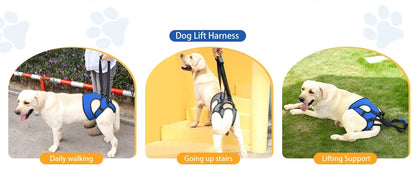 Hind Leg Support Dog Sling for Large & Senior Dogs | Adjustable Mobility Aid