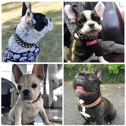 PU Leather Punk Rivet Spiked Collar for Small Dogs & Cats