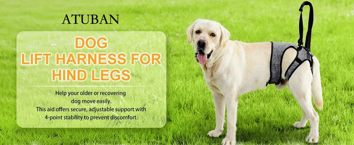 Hind Leg Support Dog Sling for Large & Senior Dogs | Adjustable Mobility Aid