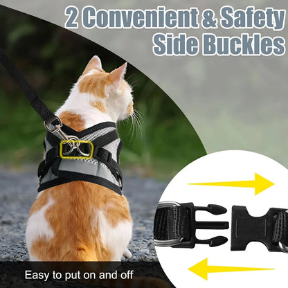 Cat Collar, Harness & Leash Set for Kittens