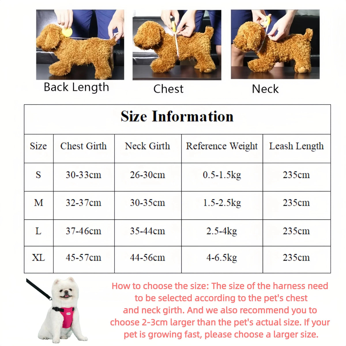 Breathable Vest Harness & Leash Set for Small Dogs