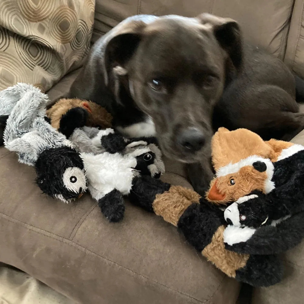 Stuffing-Free Squeaky Dog Toy with Crinkle