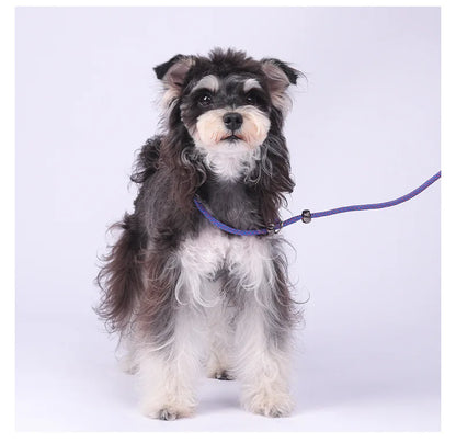 Anti-Tangle Adjustable P-Chain Slip Lead for Small Dogs