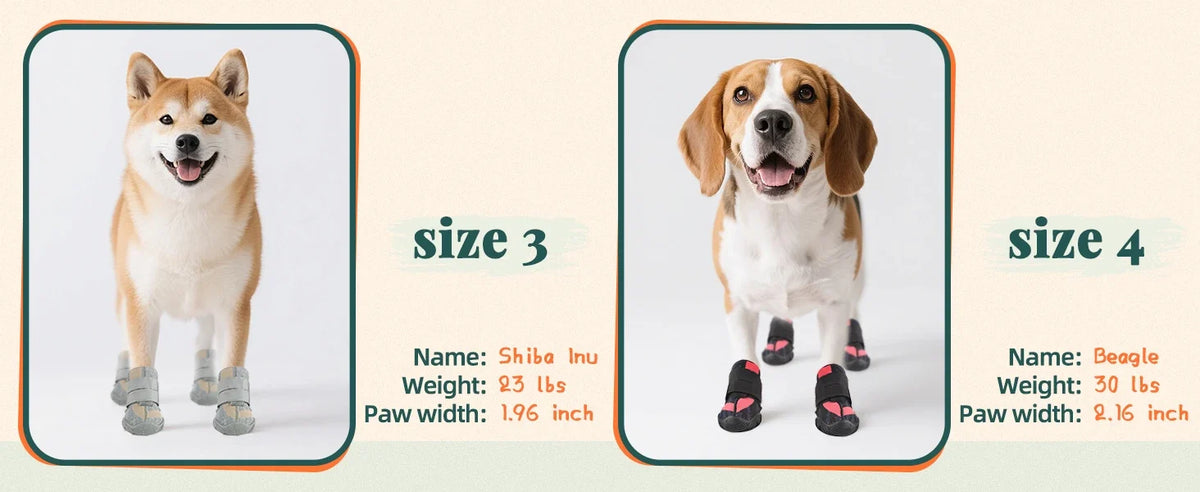 Summer Dog Boots for Hot Pavement Protection