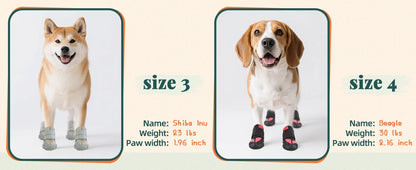 Summer Dog Boots for Hot Pavement Protection