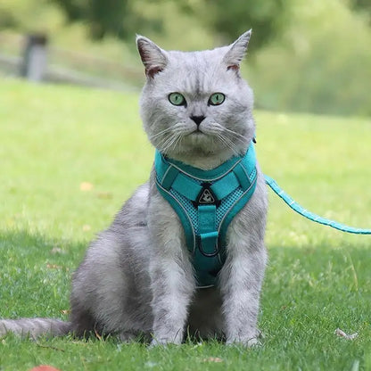 No-Pull Reflective Pet Harness and Leash Set
