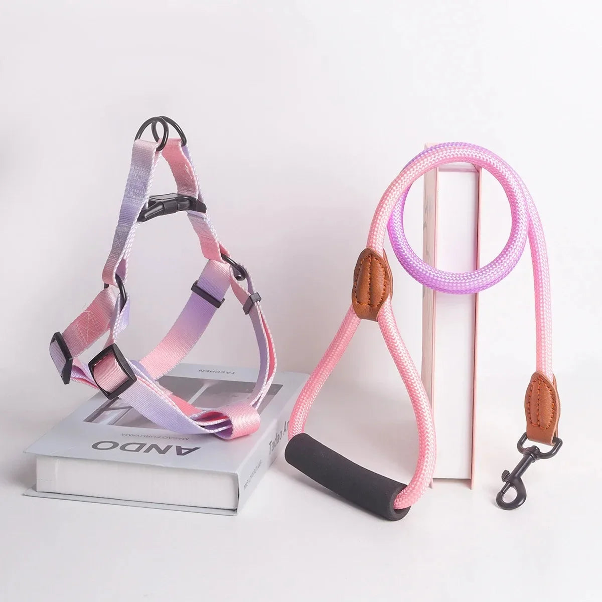 Small Dog Chest Harness with Leash Set - Puppy Training Kit