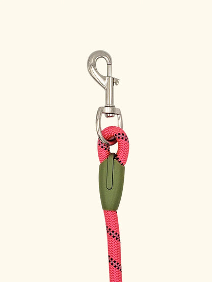 Reflective Nylon Dog Leash