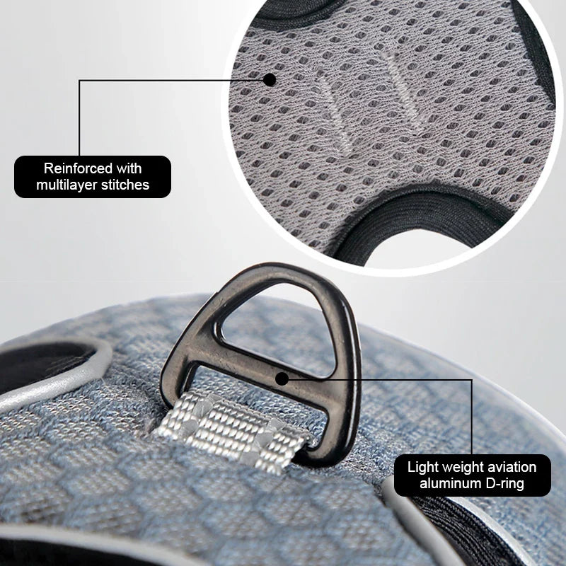 Reflective Cat Harness and Leash Set - Escape Proof, Adjustable Walking Harness