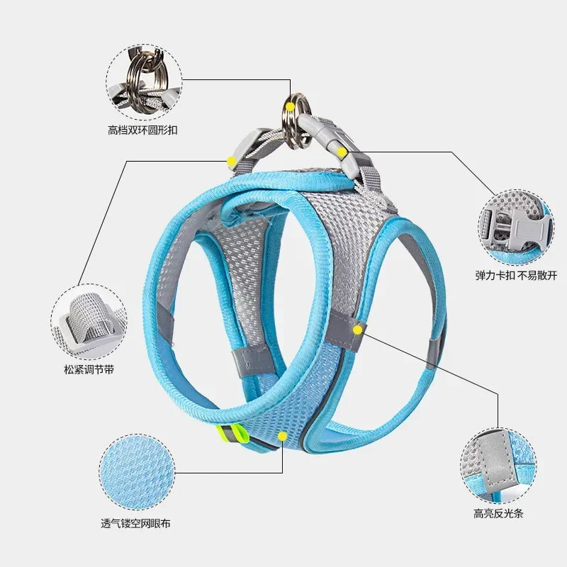 Small Dog Harness and Leash Set