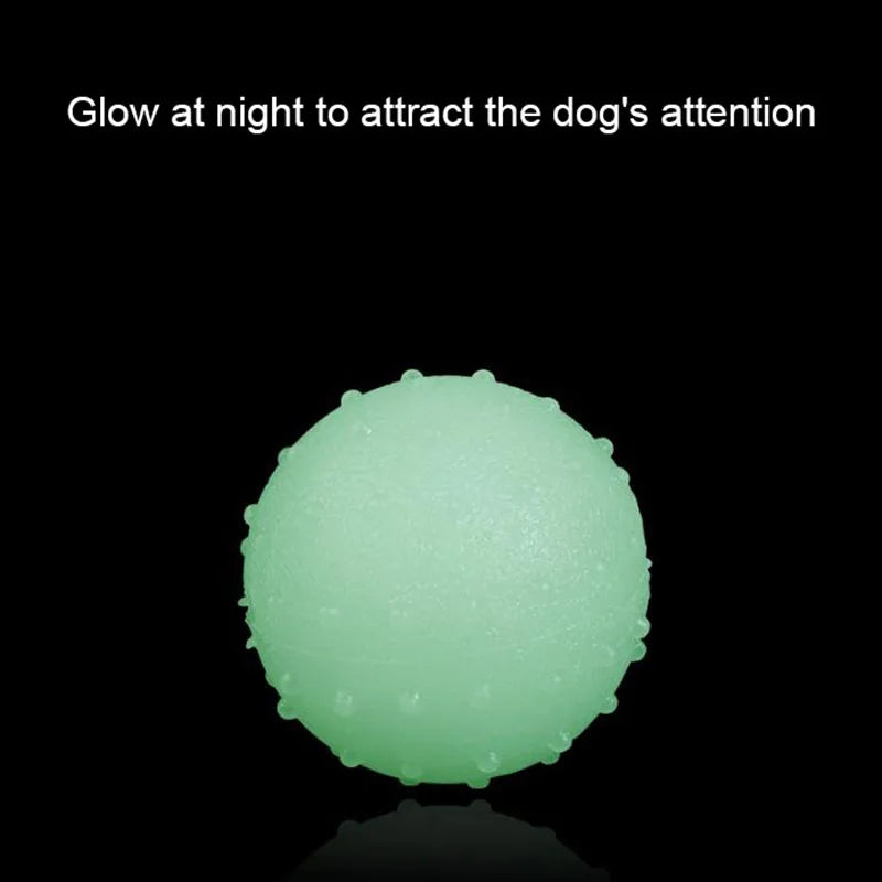 Reflective Bouncing Ball Dog Toy
