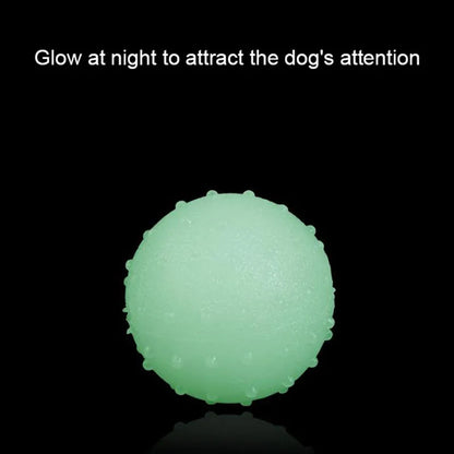 Reflective Bouncing Ball Dog Toy