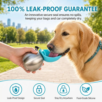 2-in-1 Stainless Steel Dog Water Bottle with Foldable Bowl