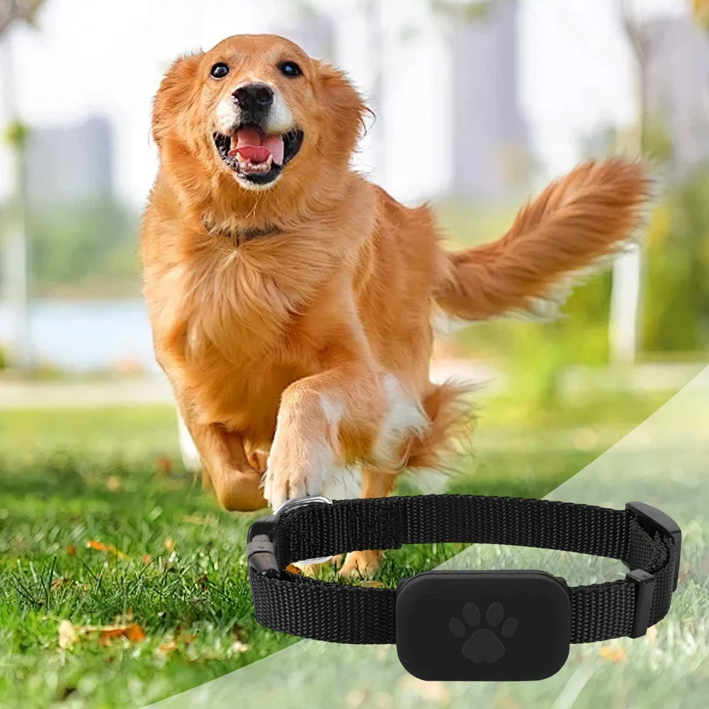 Smart Pet Collar Tracker for Cats & Dogs — 6–12 Month Battery Life
