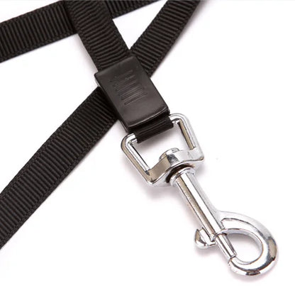 Retractable Dog Leash for Small to Medium Dogs