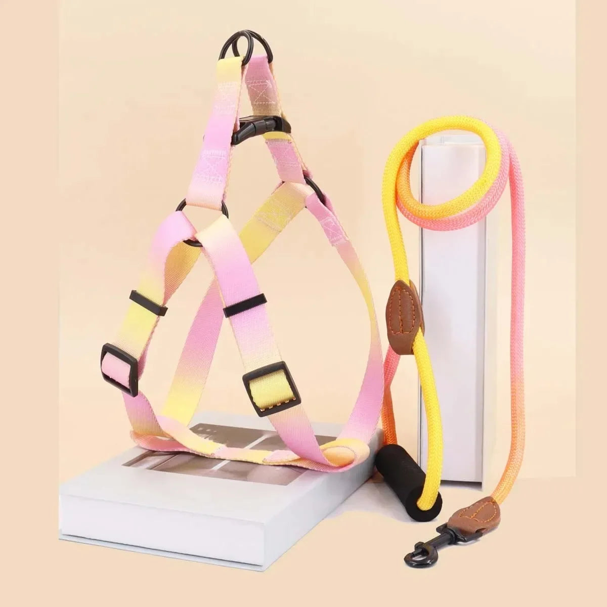 Small Dog Chest Harness with Leash Set - Puppy Training Kit