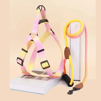Small Dog Chest Harness with Leash Set - Puppy Training Kit