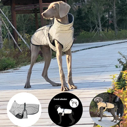 Reflective Winter Dog Jacket & Outdoor Vest