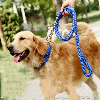 Heavy-Duty Nylon Dog Lead (130cm)