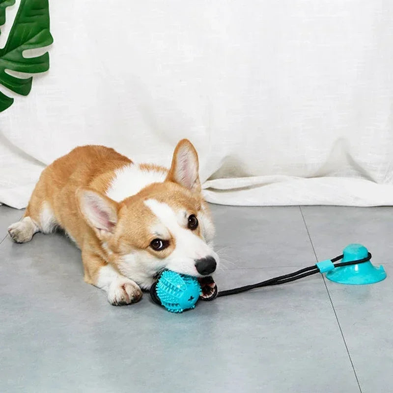 Suction Cup Tug Toy with Ball