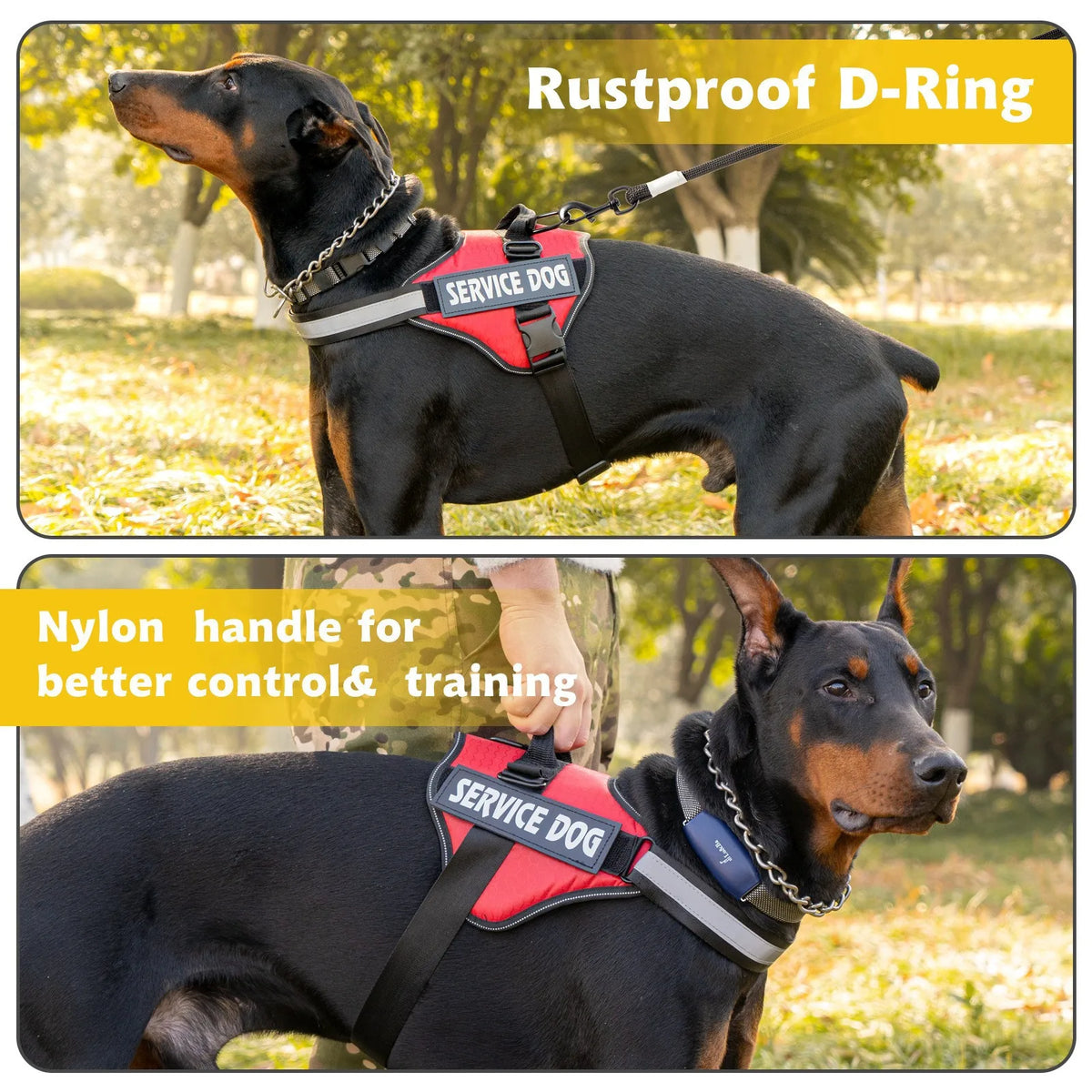 Reflective Adjustable Dog Chest Harness & Walking Lead for Large Dogs