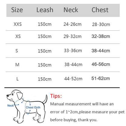 Small Dog Harness and Leash Set