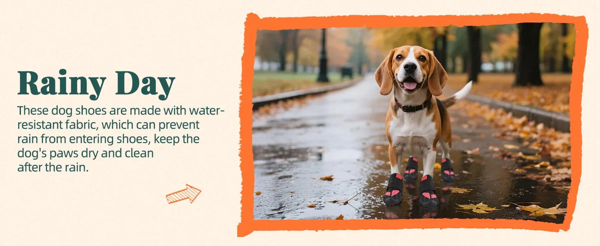 Summer Dog Boots for Hot Pavement Protection