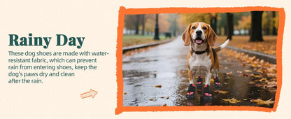 Summer Dog Boots for Hot Pavement Protection