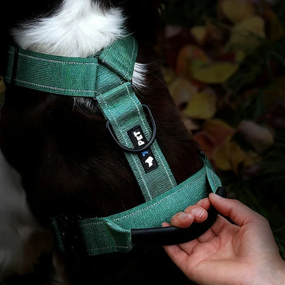 Y-Shaped No-Pull Dog Harness with Leather Handle — Soft Padded, Metal Buckles & Adjustable Fit