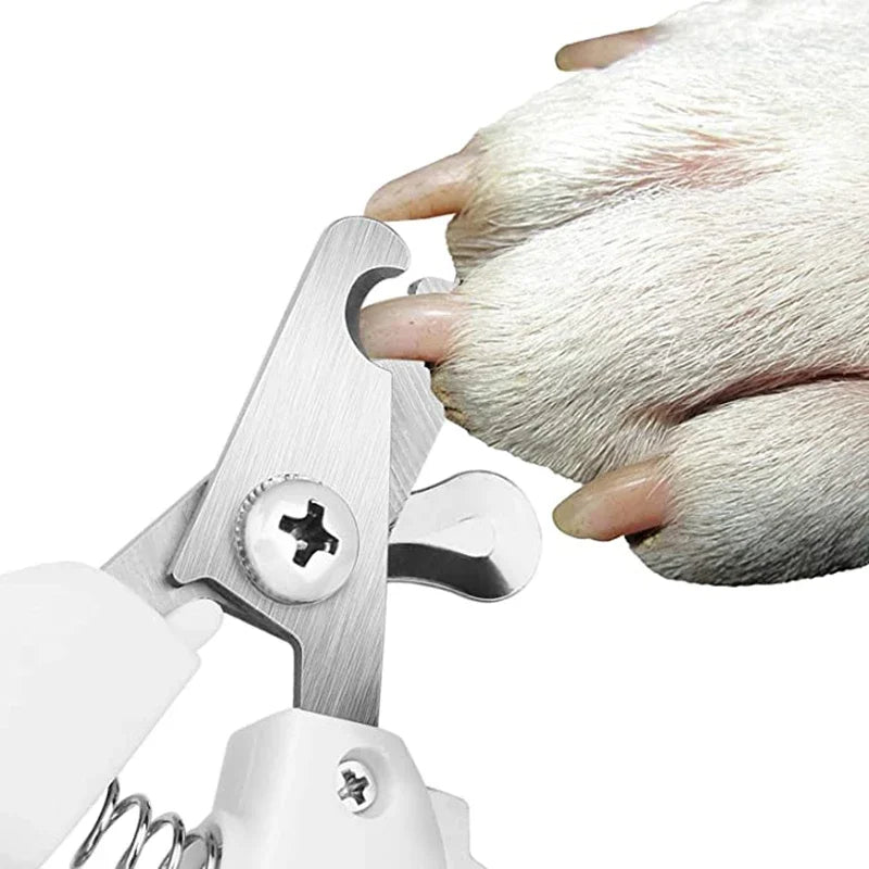 Professional Stainless Steel Pet Nail Clipper for Dogs & Cats