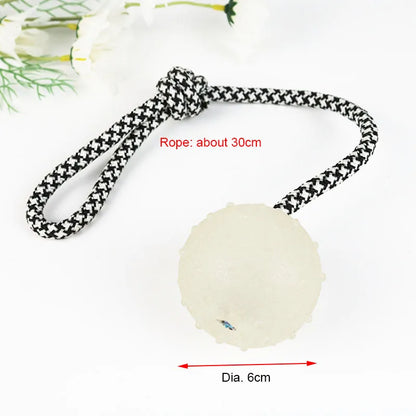 Reflective Bouncing Ball Dog Toy