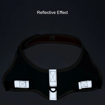 Reflective Dog Harness & Leash Set - Nylon Vest Harness for All Sizes