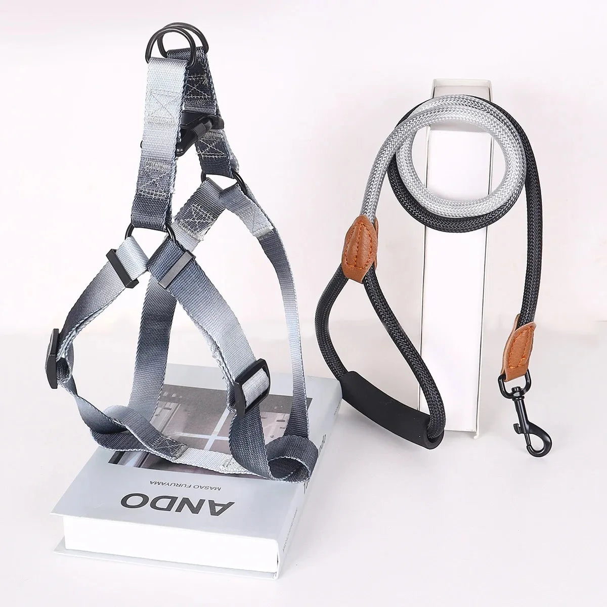 Small Dog Chest Harness with Leash Set - Puppy Training Kit