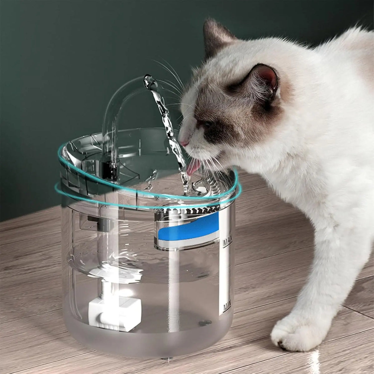 Pet Water Fountain Replacement Filters - WF050 & WF100